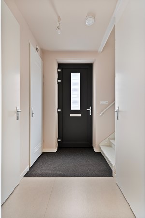 30_Moerasorchidee 31 - Lelystad.jpg